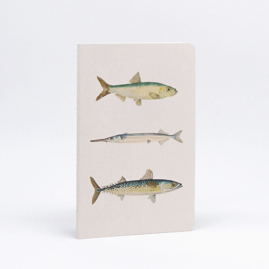 Inside page of a Fishes notebook
