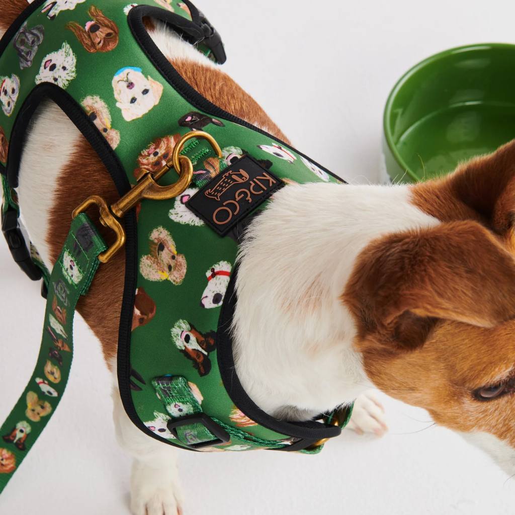 Explore the Kip & Co Flower Face Dog Harness at Cove, where eco-friendly meets style. This adjustable harness is perfect for trendy pups and is available in four different sizes to ensure a perfect fit for your furry friend.