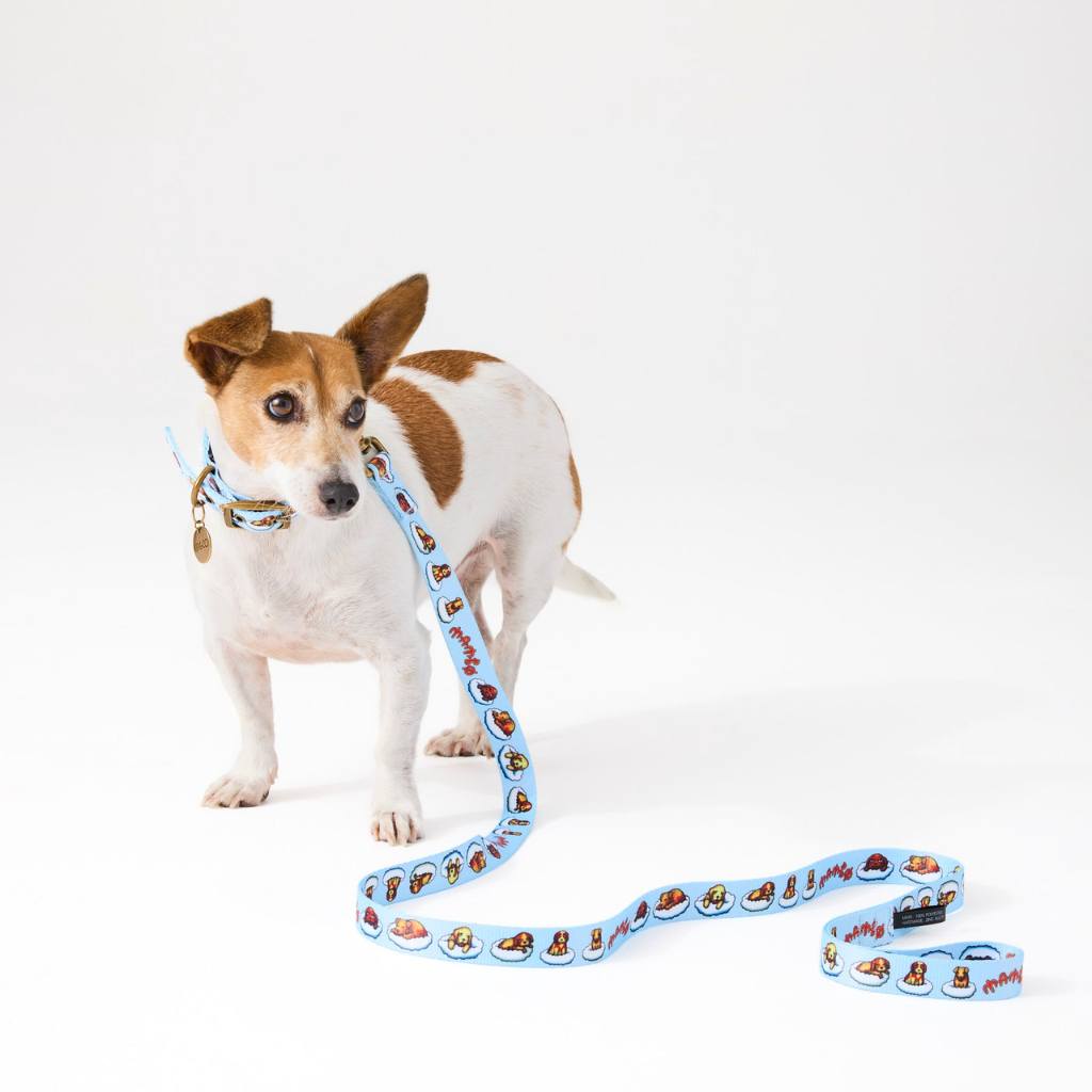 Kip & Co x Mambo Puppies Dog Lead