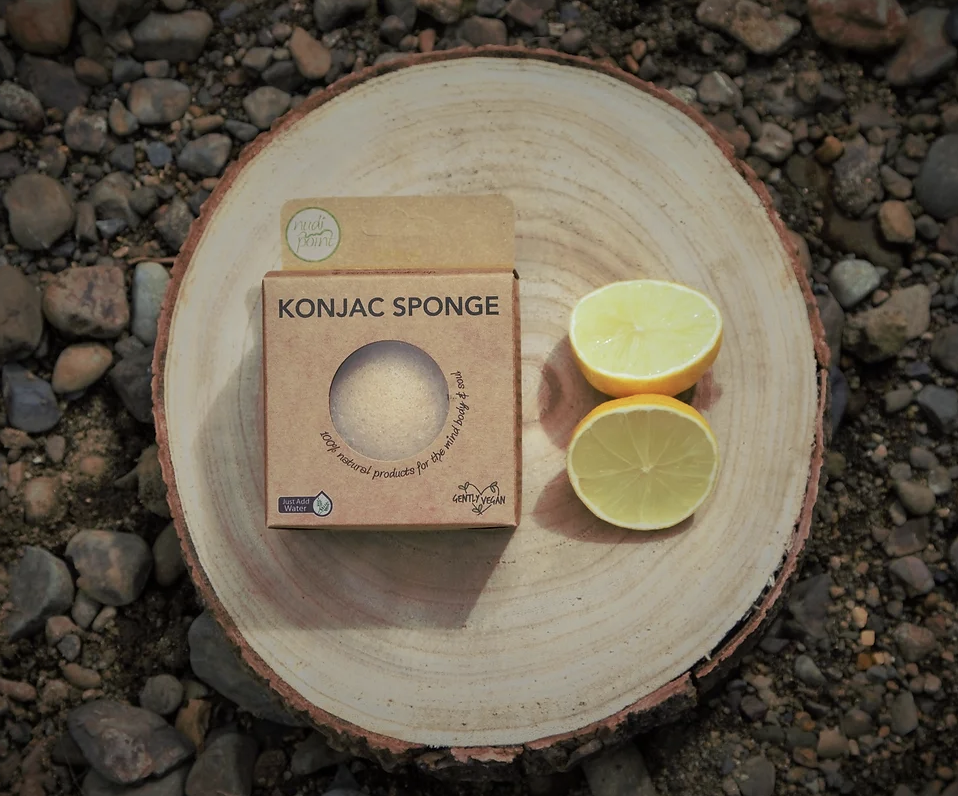 Nudi Point Konjac Sponge (Citrus)