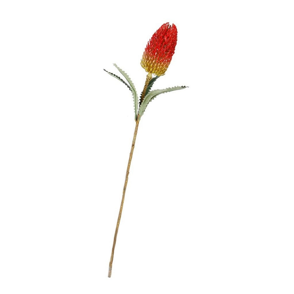 Flower Systems red banksia spray, artificial, on white