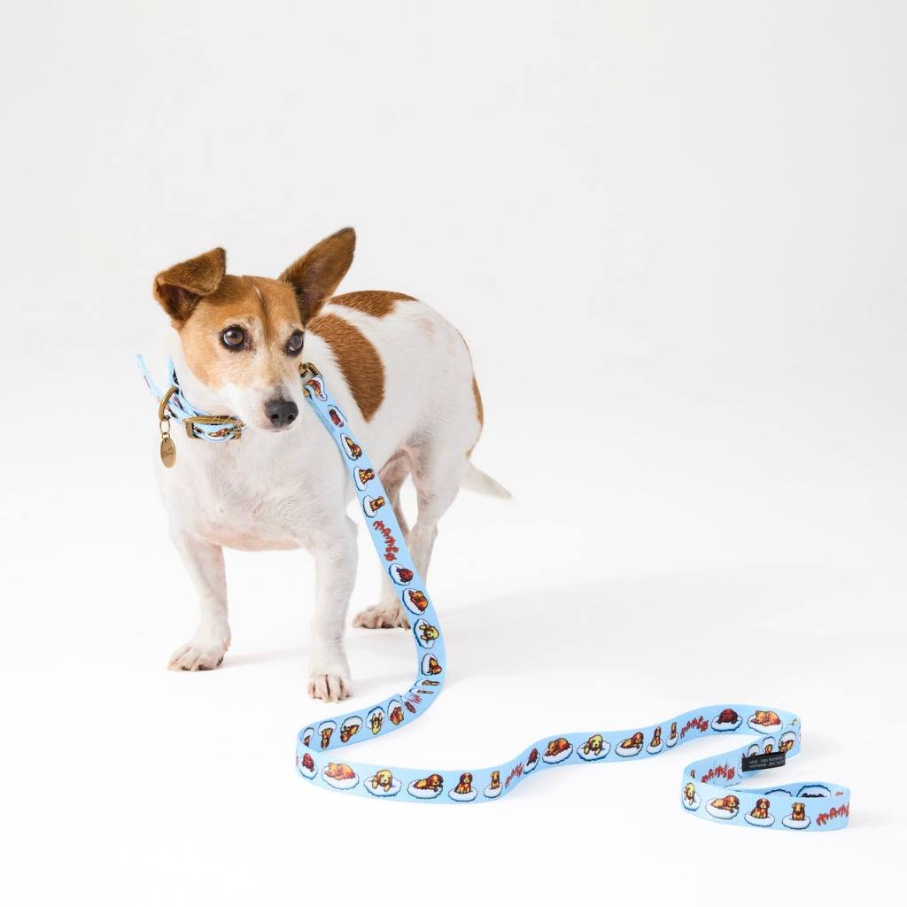 Kip & Co x Mambo Puppies Dog Lead - Cove. Beach Essentials