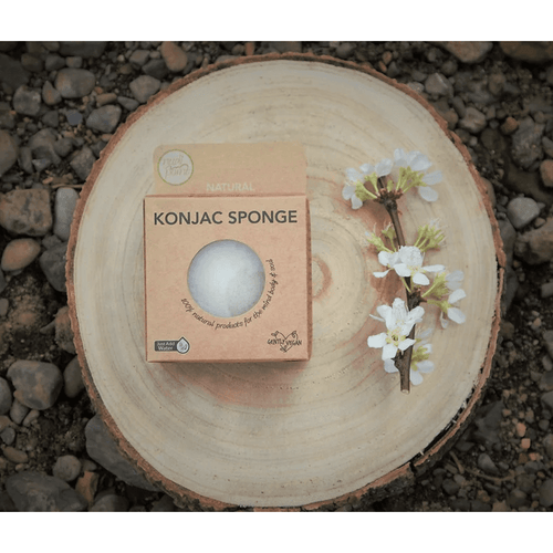 Nudi Point Konjac Sponge (Natural) - Cove. Beach Essentials