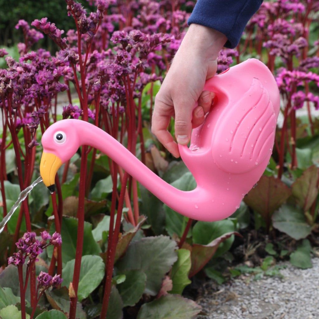 Watering flowers with the pink flamingo watering can