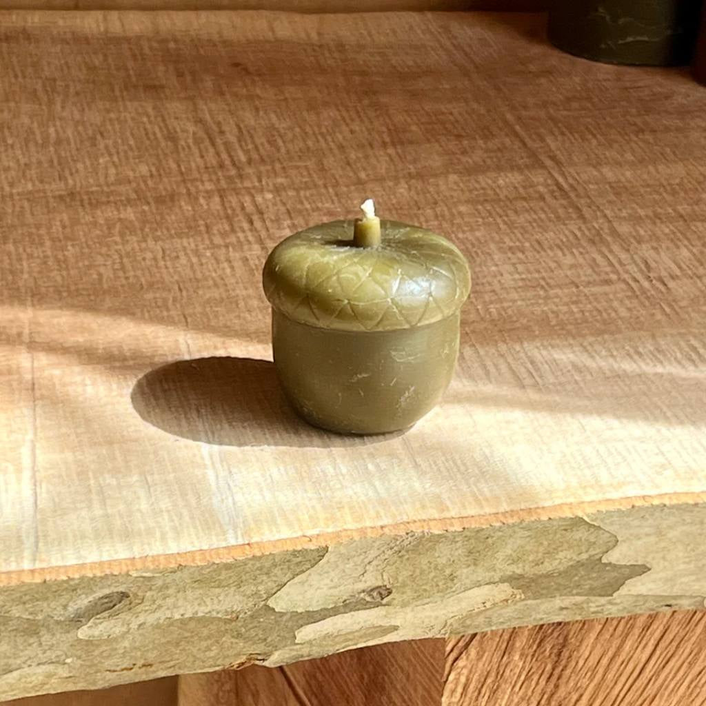 A jar of The Authentic Honey Co. honey placed on a rustic wooden surface, surrounded by acorns and olive branches, creating a natural and organic aesthetic. The honey jar features a simple, elegant label, emphasizing its pure and authentic quality.