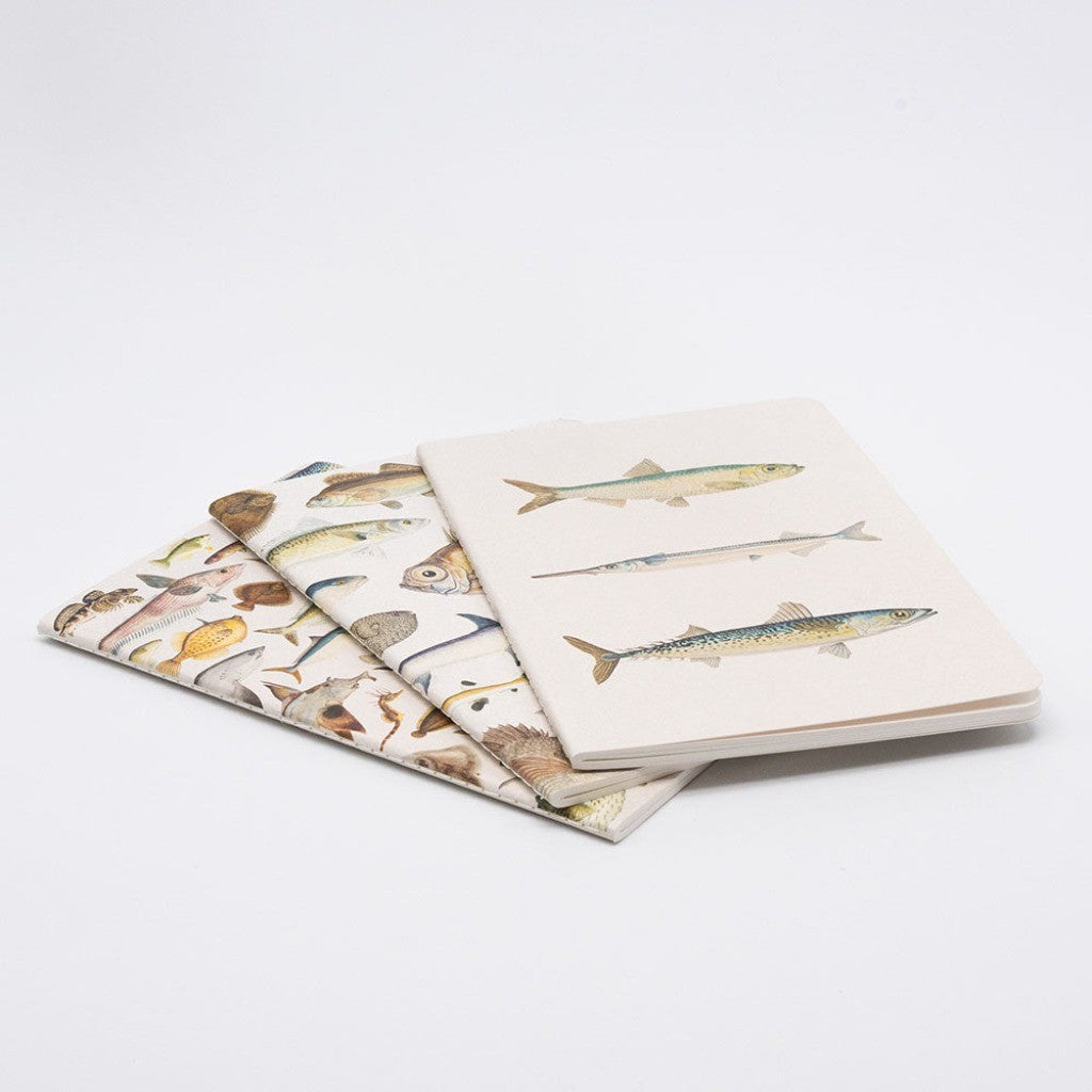 Fishes notebooks fanned out