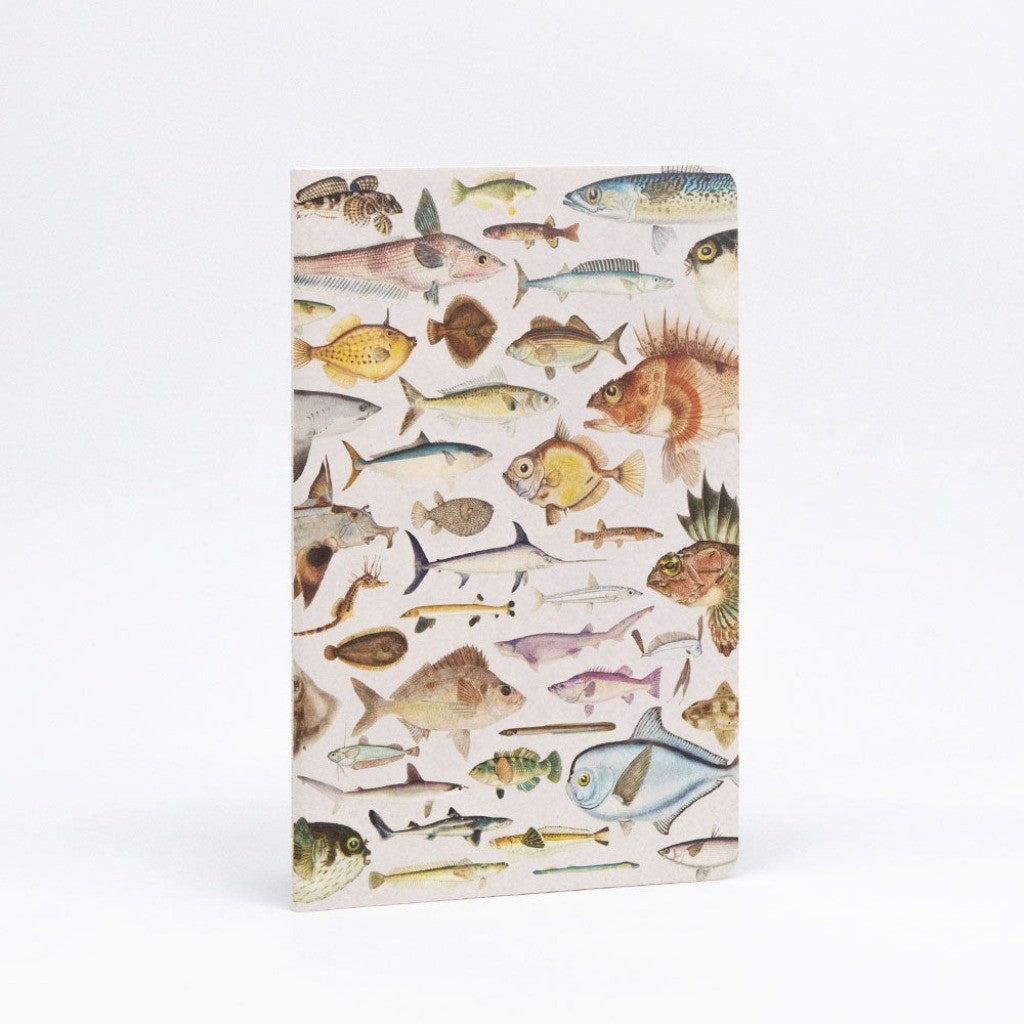 Fishes of NZ notebook cover