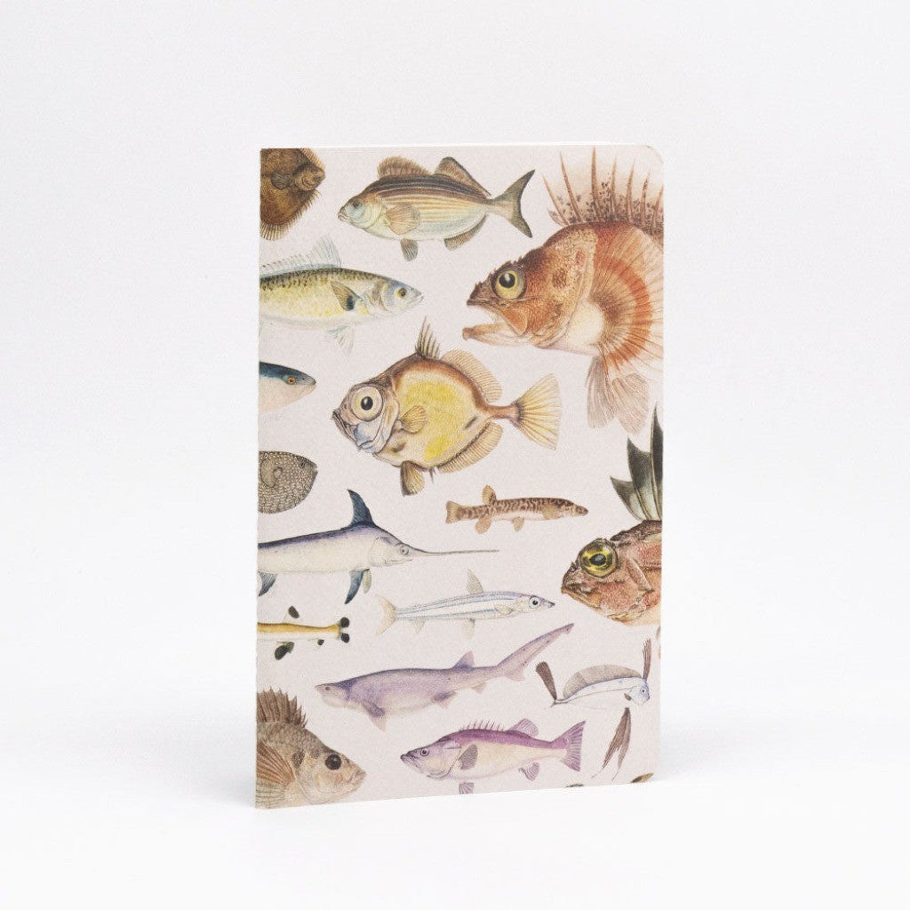 Fishes notebook cover with assorted fish