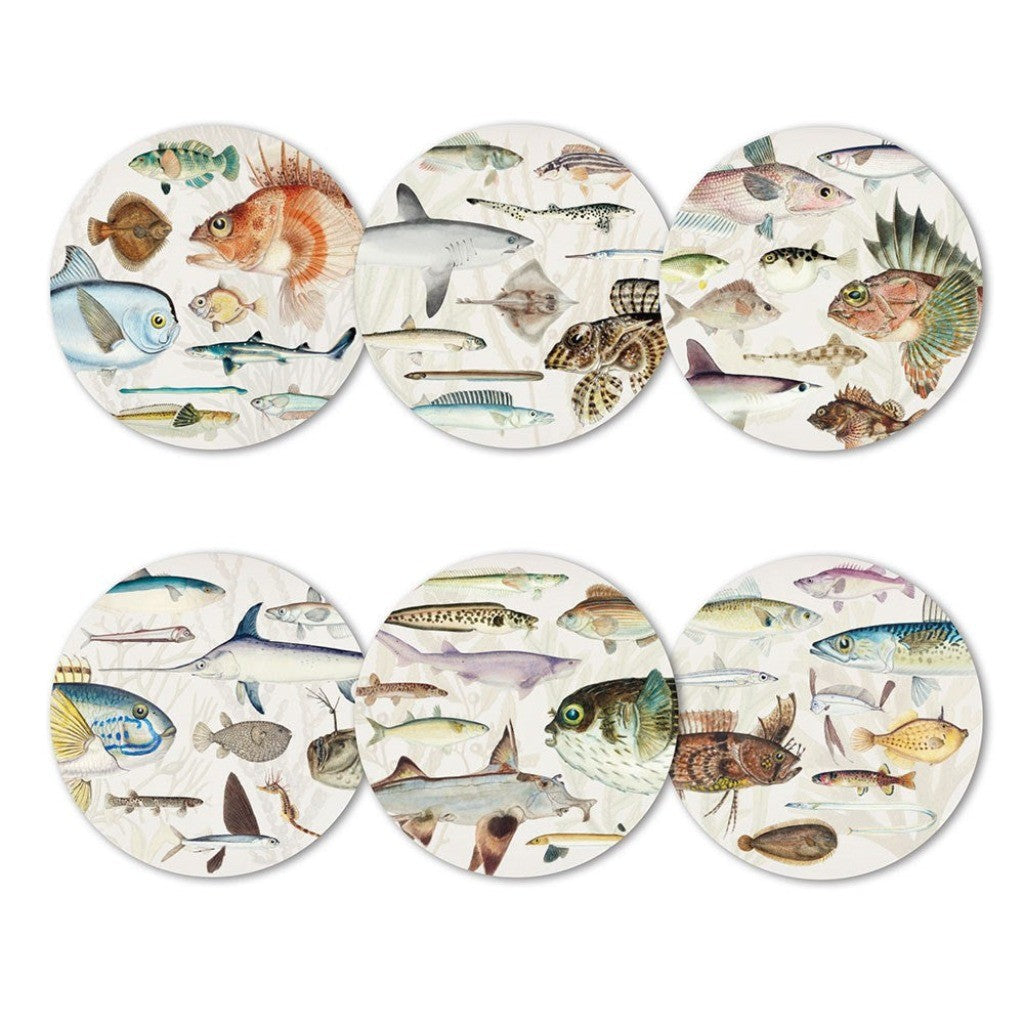 Six Fishes of NZ coasters laid out