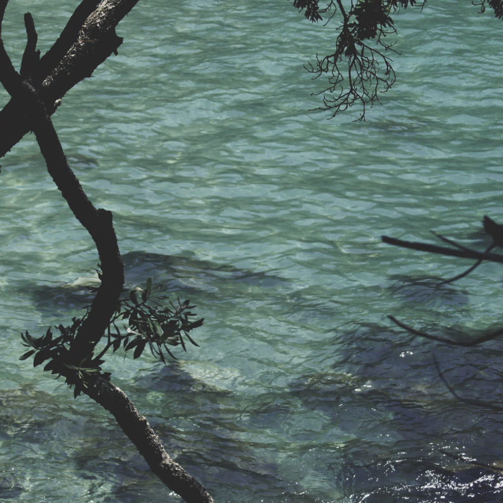 Dear Marge | Scarf - Coromandel Moments