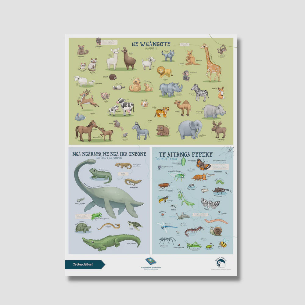 Illustrated Publishing - Poster A2 - Mammals - Te Reo Māori