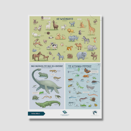 Illustrated Publishing - Poster A2 - Mammals - Te Reo Māori