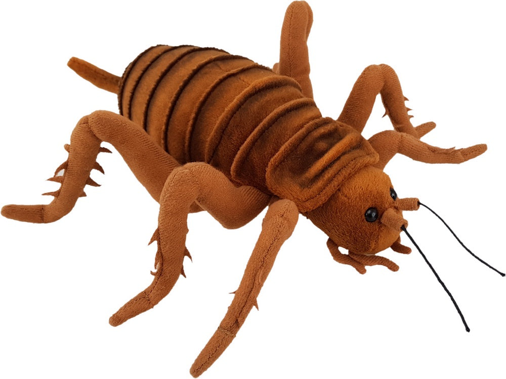 Antics Natures Giant Weta