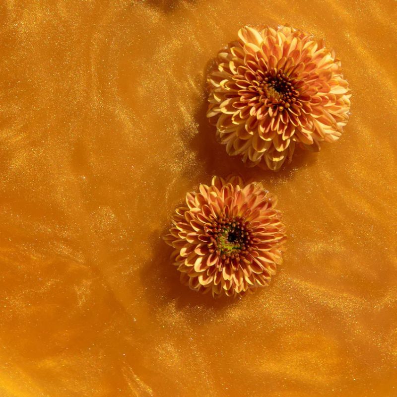 Better Tea Company Golden Daydream 60g