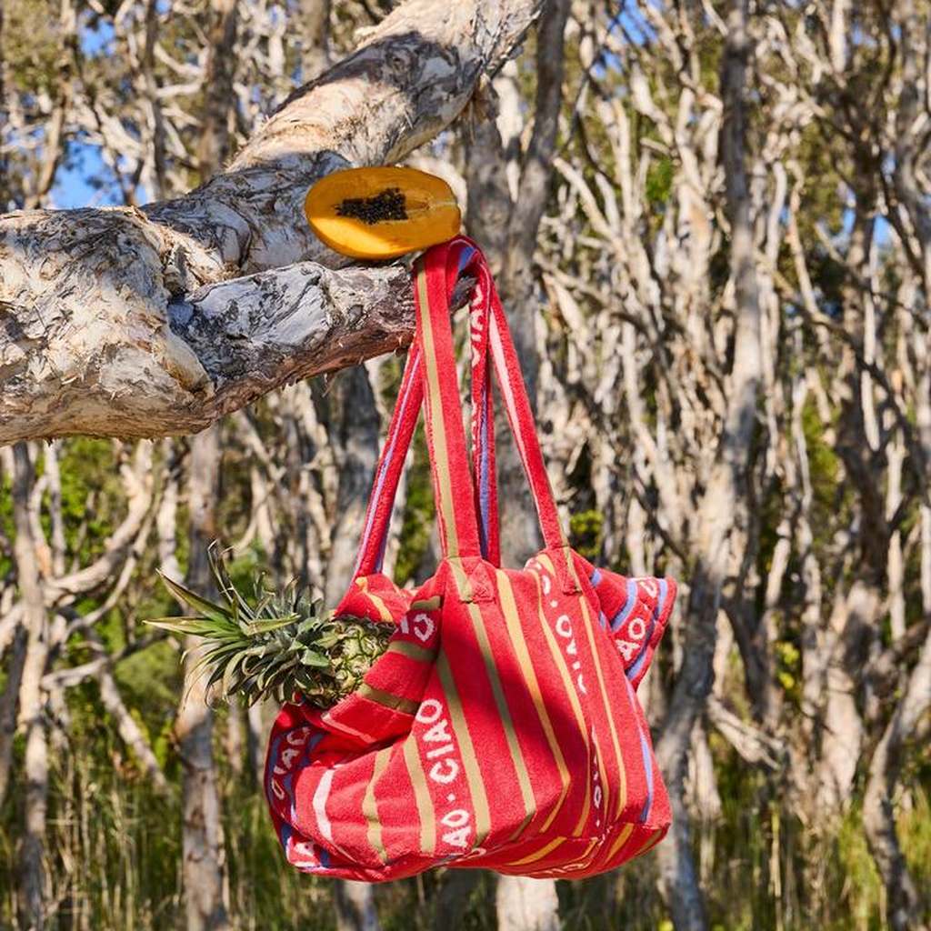 Ciao Stripe beach bag hanging in a tree with a pineapple