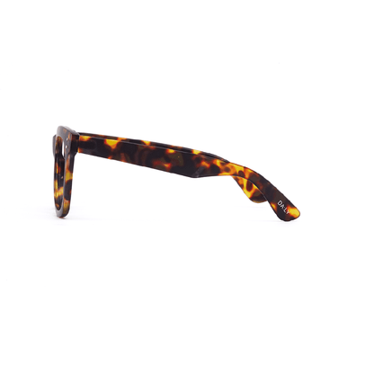 Daily Eyewear - 11am - Brown Tort