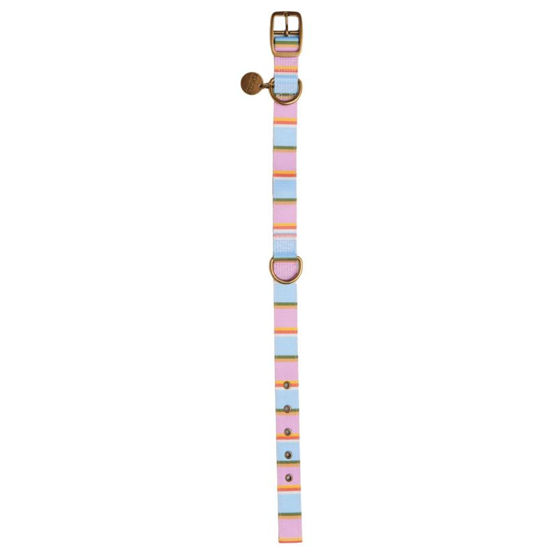 Upgrade your pup&#39;s look with Kip &amp; Co&#39;s Fez Stripe Collar at Cove. Shop now! ![Dog wearing a colorful striped collar](https://example.com/dog-collar-image)