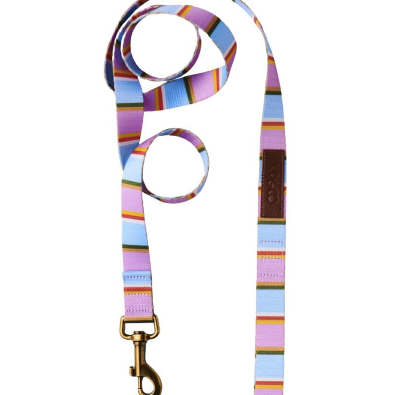 The image likely showcases the Kip &amp; Co Fez Stripe Dog Lead available at Cove. The lead features a stylish and vibrant striped design, known for its durability and eye-catching colors.