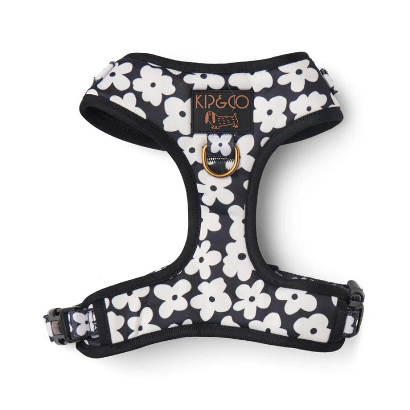 Kip & Co | Dog Park Dog Harness