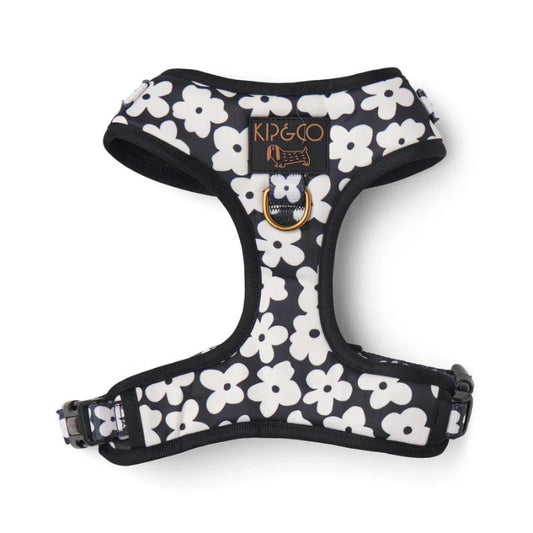 Kip & Co | Dog Park Dog Harness