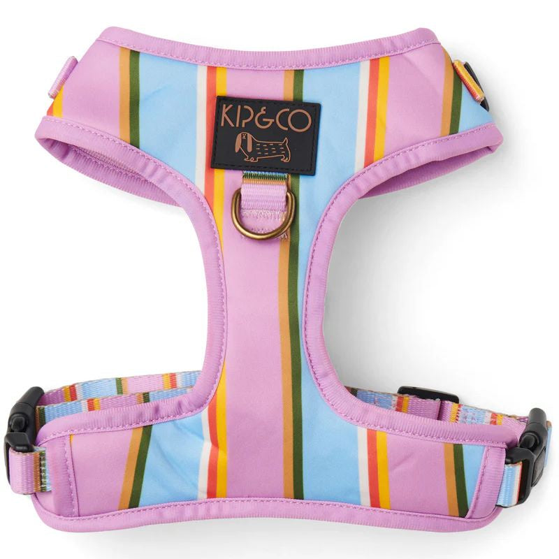 Kip & Co | Fez Stripe Dog Harness