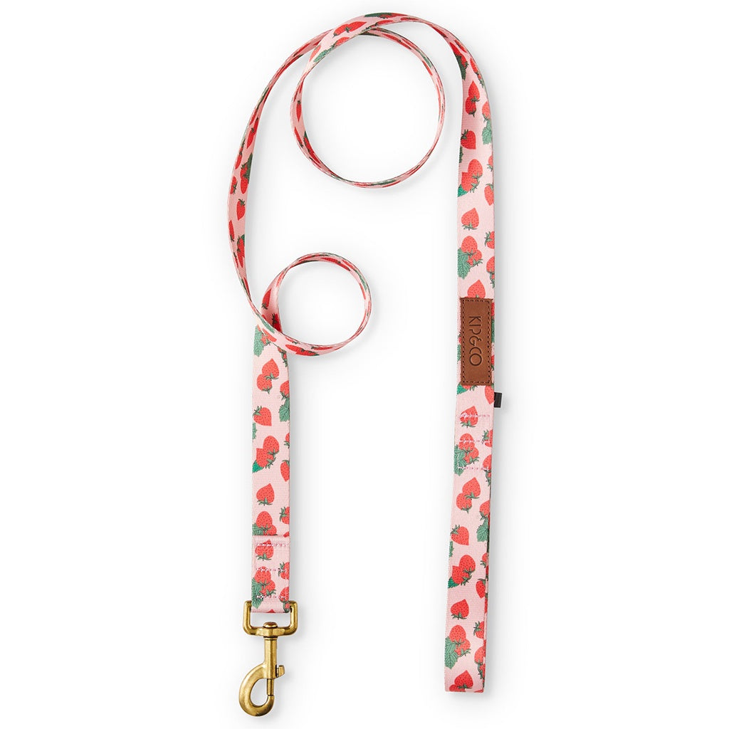 Shop Kip &amp; Co&#39;s vibrant dog leads at Cove. Stylish strawberry prints await! [Image: A colorful dog lead with a bright strawberry print design, showcasing Kip &amp; Co&#39;s signature vibrant style.]