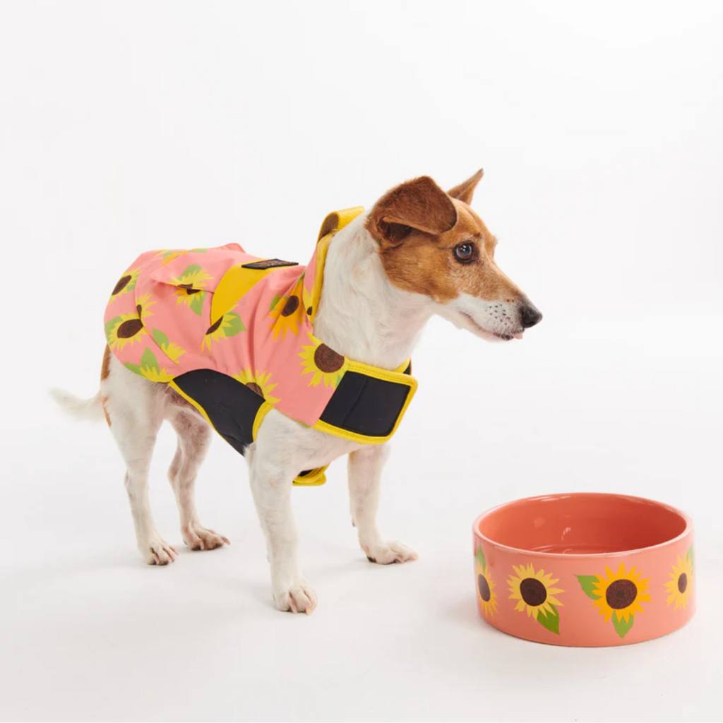 Enhance your pet&#39;s mealtime with the Kip &amp; Co Sunflower Dog Bowl available at Cove. This bowl is both vibrant and chic, adding a touch of style to your pet&#39;s dining experience.