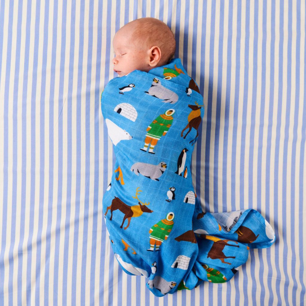 Kip & Co  | Arctic Circle Bamboo Swaddle