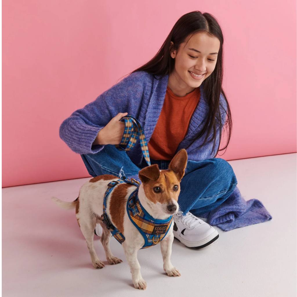 Kip & Co | Cosy Tartan Dog Harness