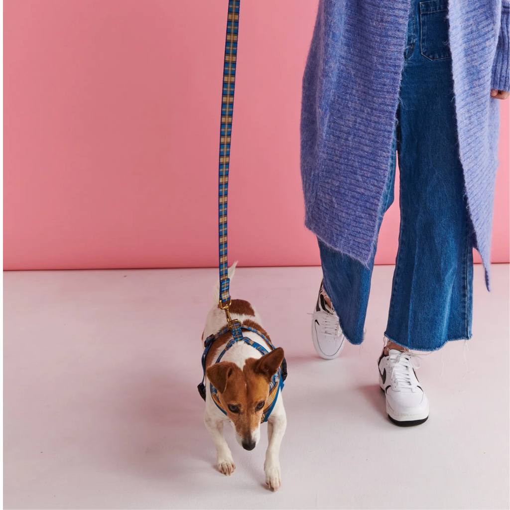 Kip & Co | Cosy Tartan Dog Harness