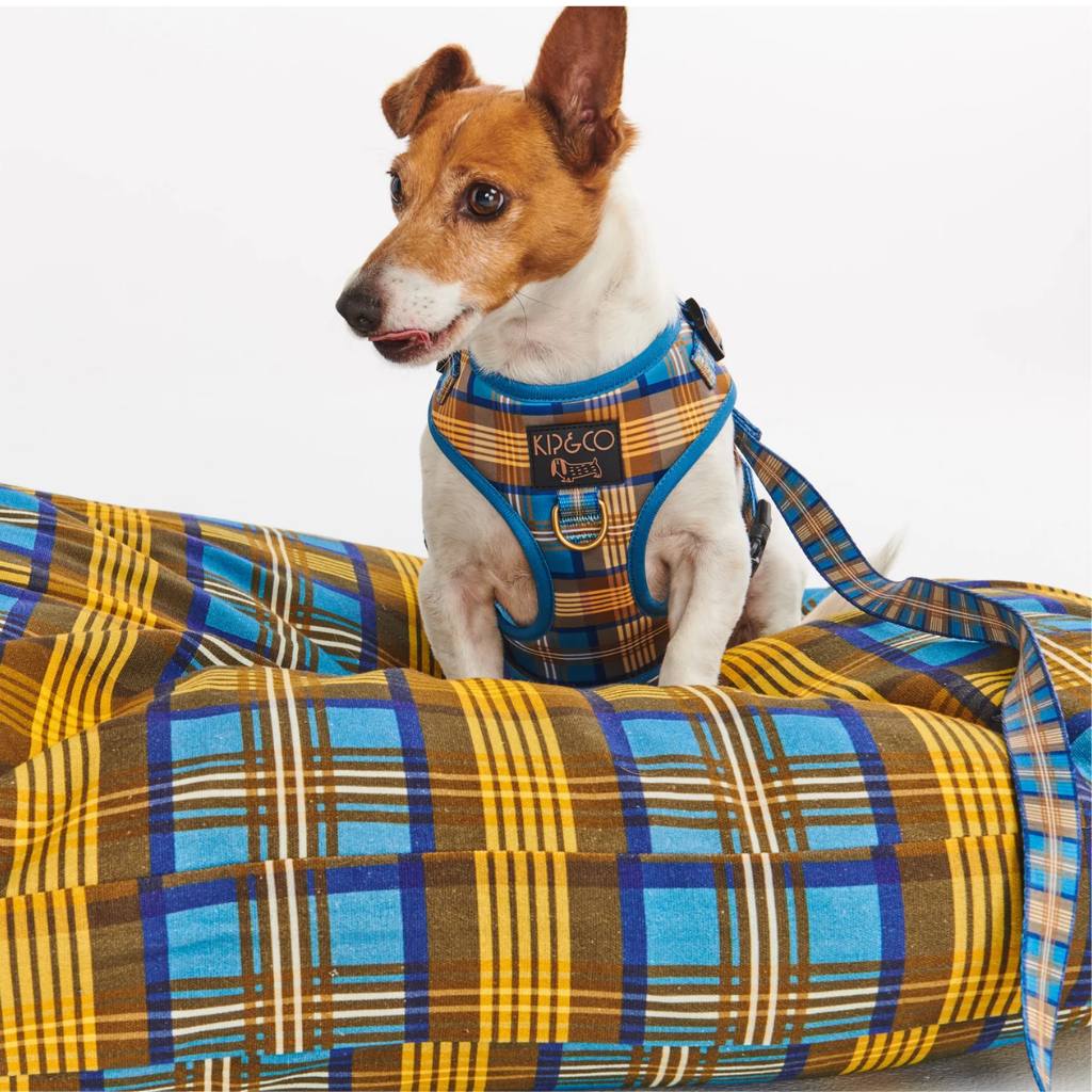 Elevate your pup's look with Kip & Co's Tartan Dog Harness at Cove. This stylish and eco-friendly harness is perfect for the environmentally conscious pet owner who wants their furry friend to stand out.