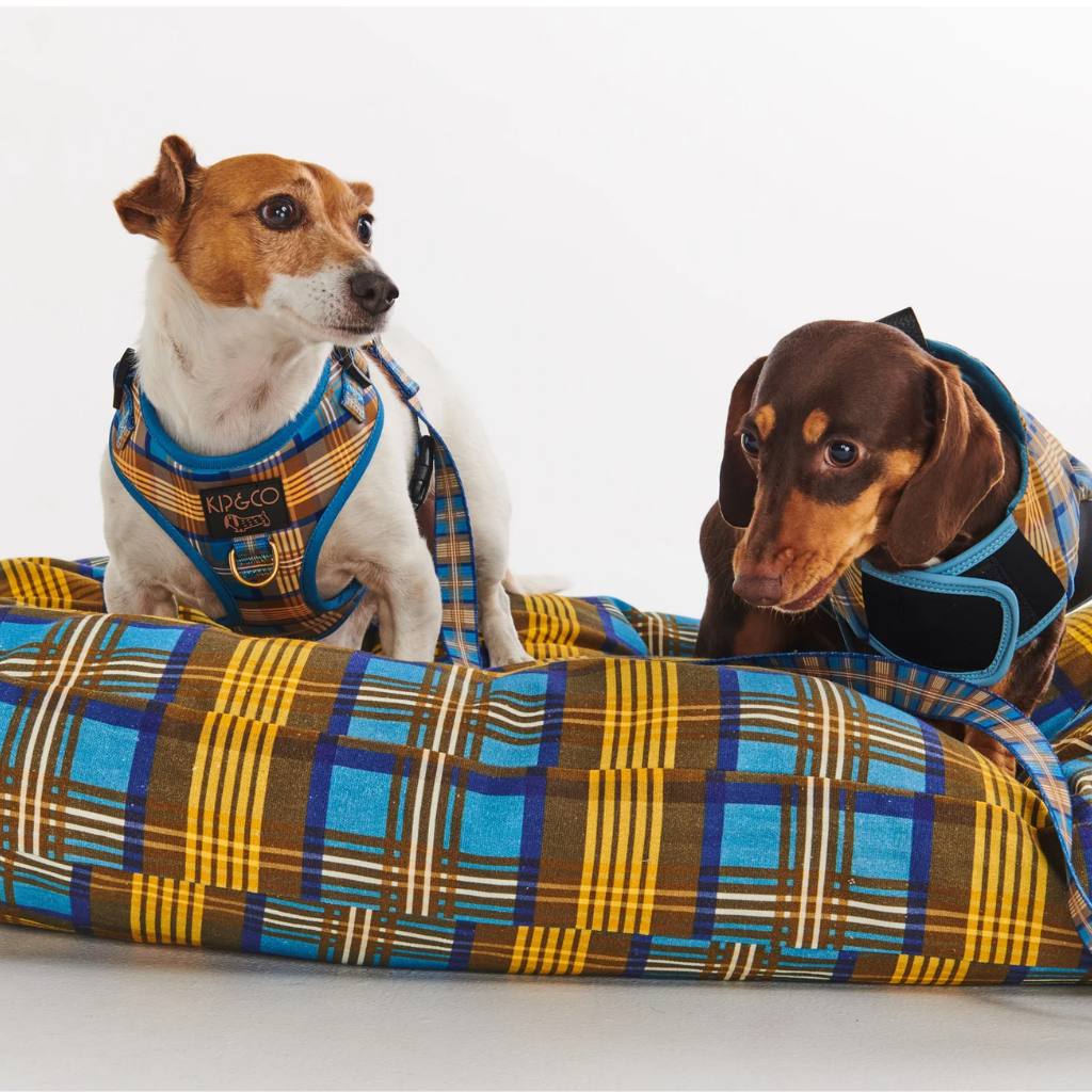 Kip & Co | Cosy Tartan Dog Harness