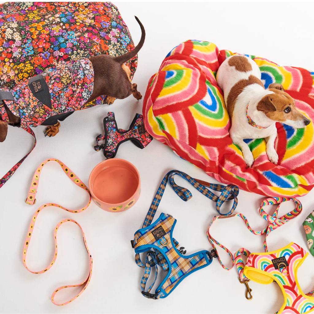 Kip & Co | Cosy Tartan Dog Harness