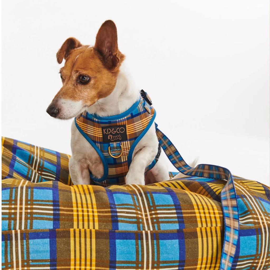 Kip & Co | Cosy Tartan Dog Harness