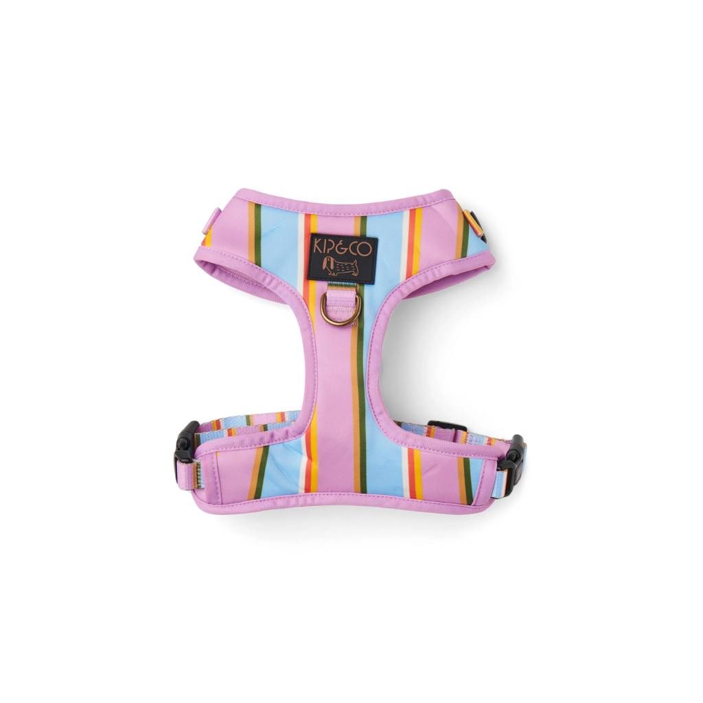 Upgrade your pup's look with Kip & Co's Fez Stripe Dog Harness at Cove. The harness features vibrant, colorful stripes that add a stylish touch to your dog's attire.