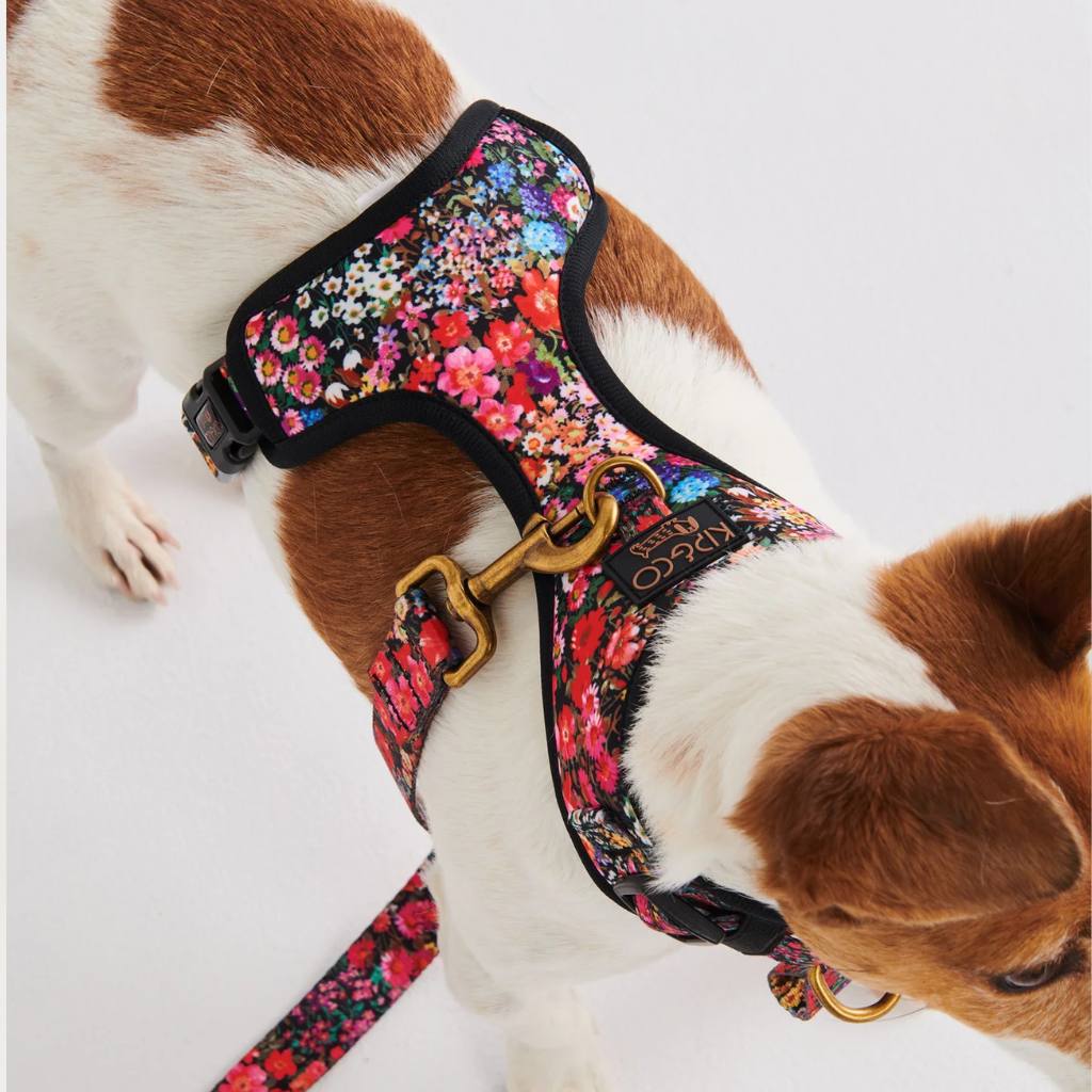 Kip & Co | Forever Floral Black Dog Harness