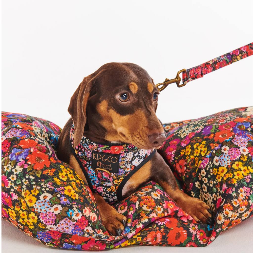 Kip & Co | Forever Floral Black Dog Harness