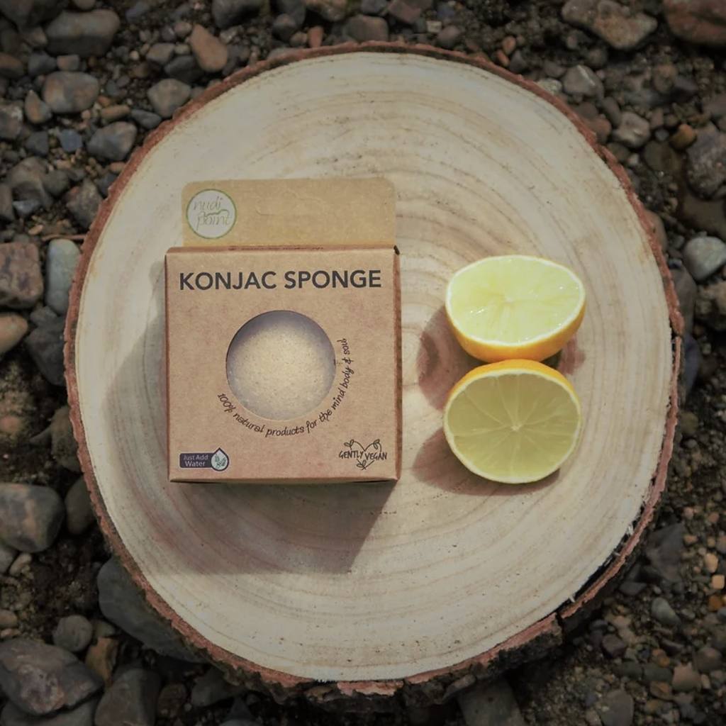 Nudi Point Konjac Sponge (Citrus)