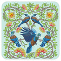 Pikita | Coaster Tui NZ