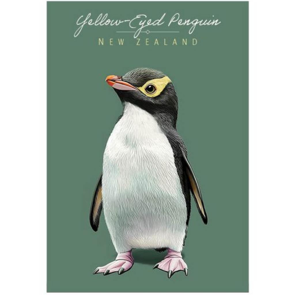Pikitia Postcard Yellow Eyed Penguin