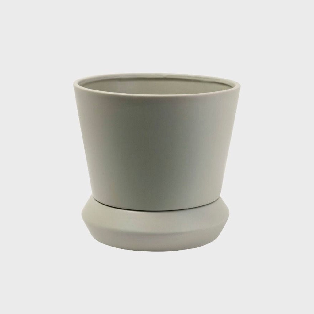 Potted Large Hamburg Planter Sage