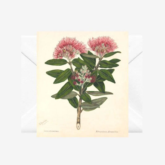 Sarah Featon | Card - Pohutukawa