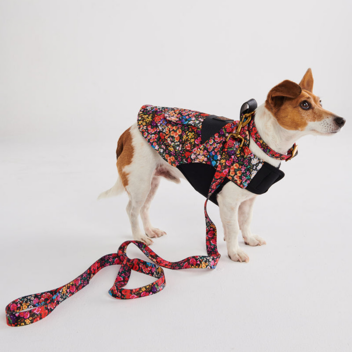 Elevate your pet&#39;s style with Kip &amp; Co dog leads available at Cove. Check out the Forever Floral collection today!