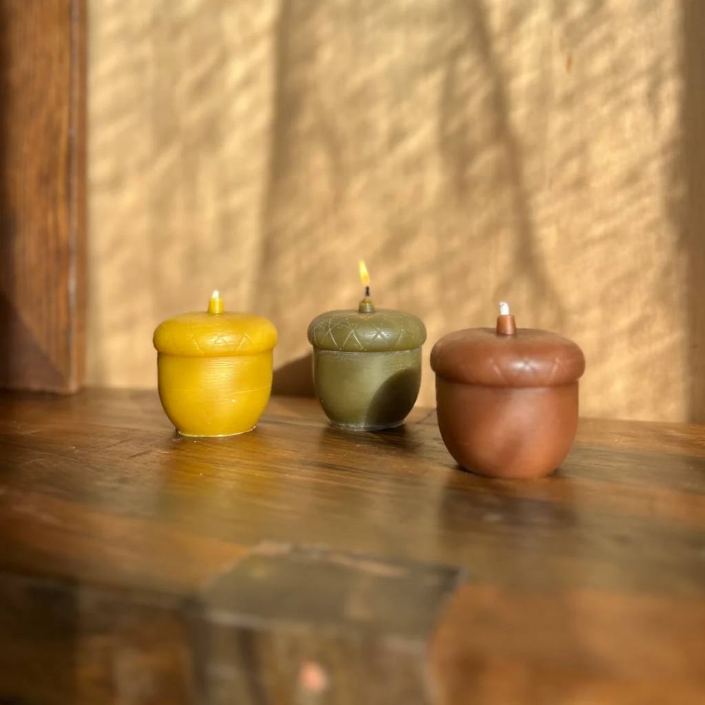 Authentic Honey Co. | Acorn Candles - Natural - Cove. Beach Essentials