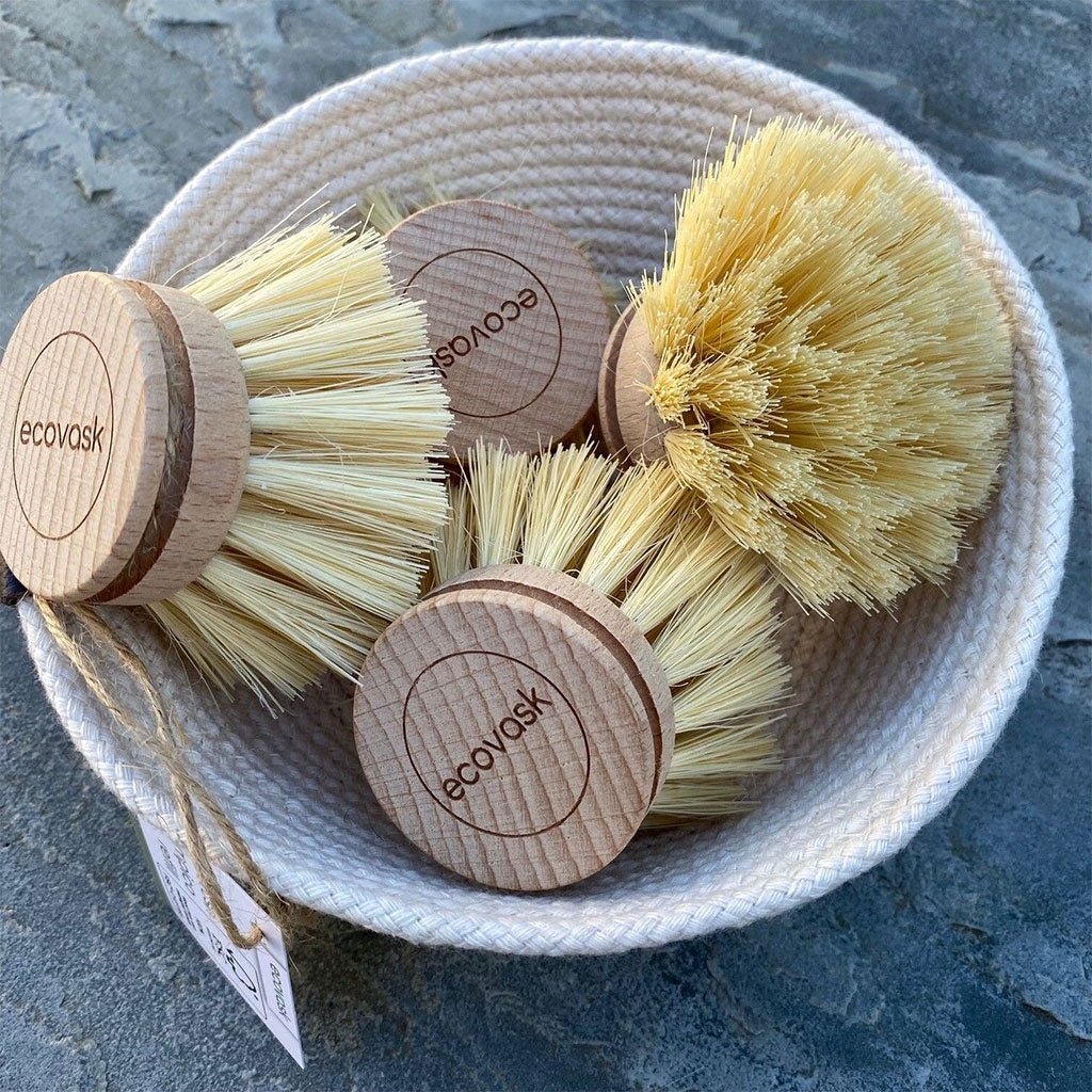 Ecovask Dish Brush Refill - Tampico - Cove. Beach Essentials