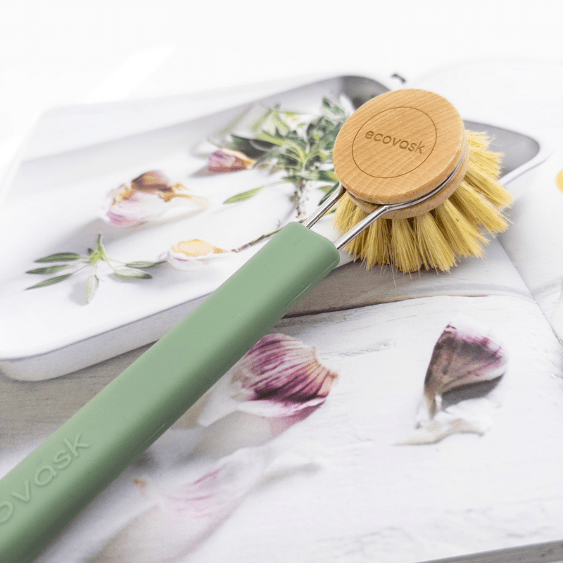 Ecovask | Dish Brush Sage- Tampico - Cove. Beach Essentials