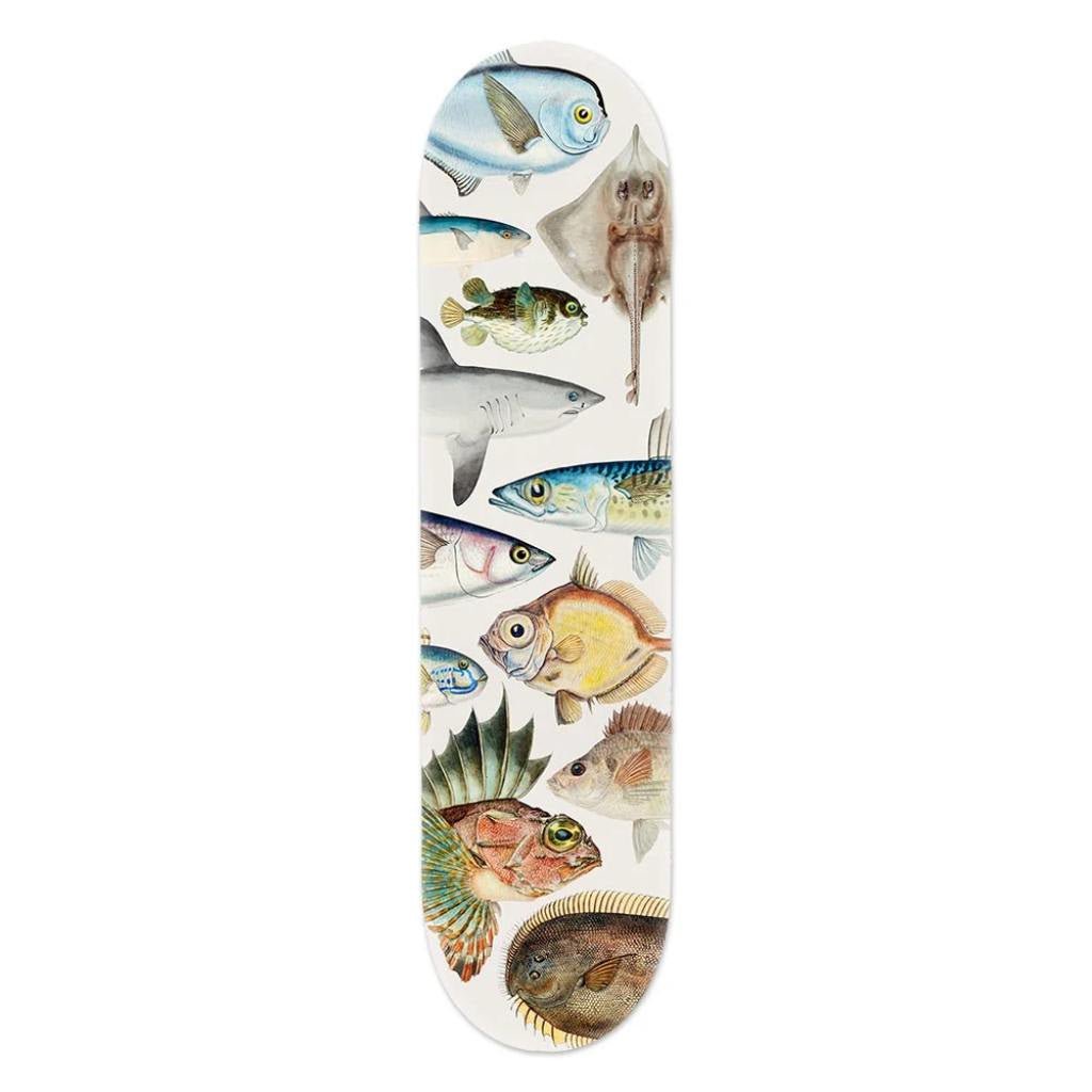 Fishes of New Zealand Skateboard Deck - Cove. Beach Essentials