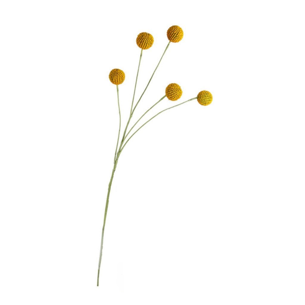 Flower Systems | Billy Buttons Spray 70cm - Cove. Beach Essentials