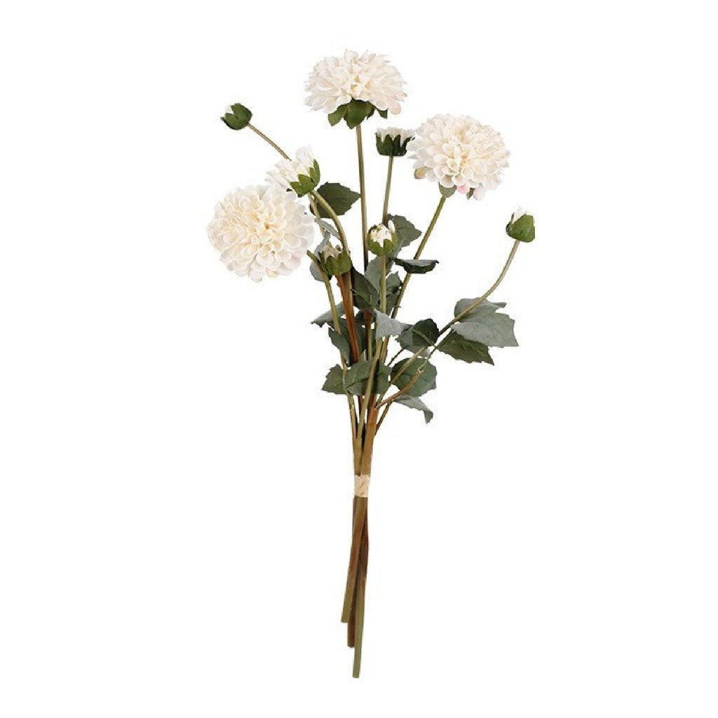 Flower Systems | Pompon Dahlia Bundle x3 Cream - Cove. Beach Essentials