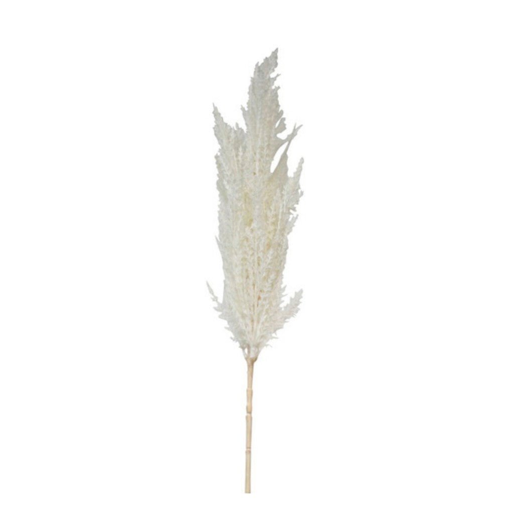 Flower Systems | Toi Toi Spray 94cm Cream - Cove. Beach Essentials